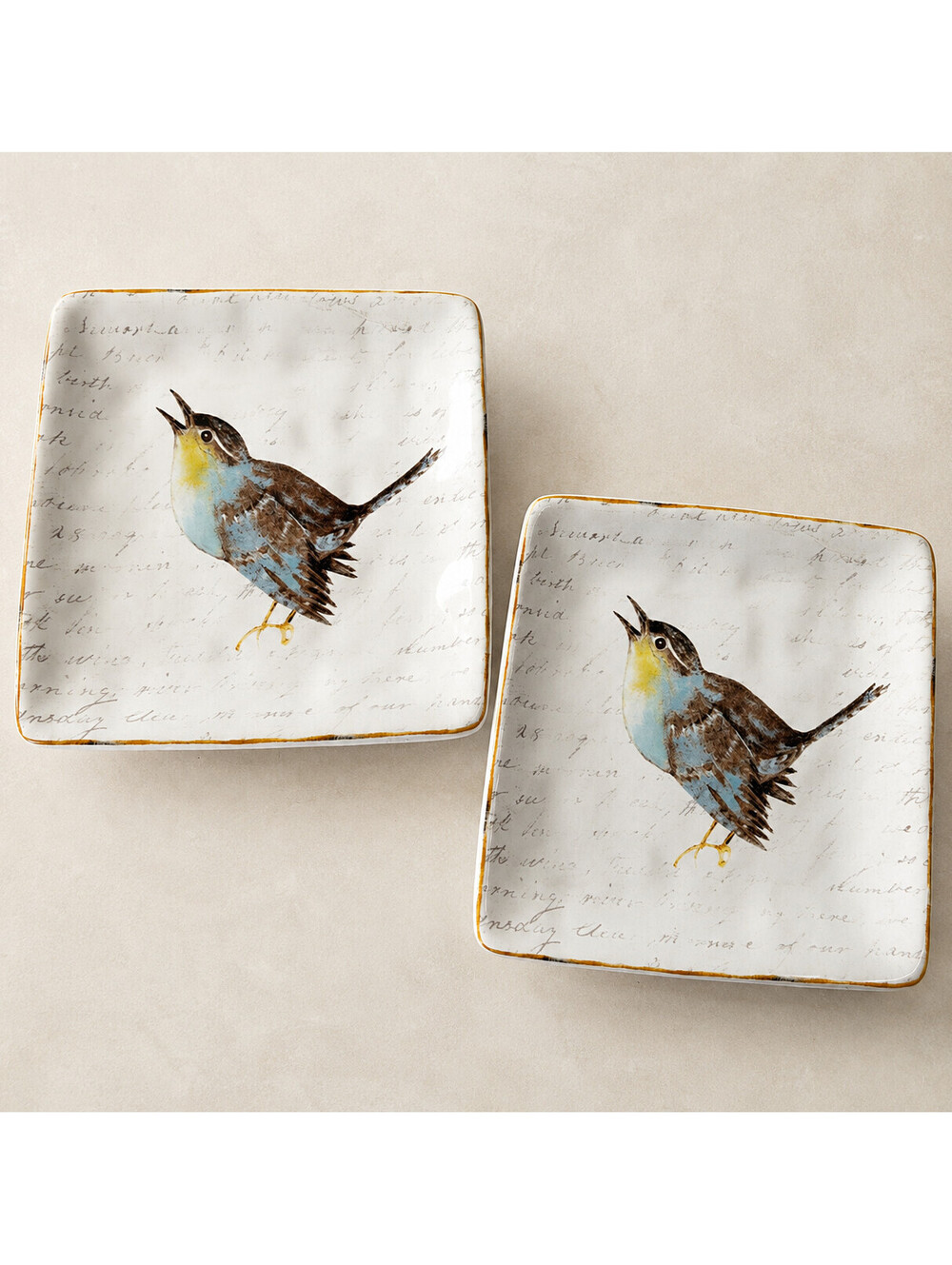 Pier 1 Field Notes Bird 6" Square Appetizer Plates Set of 2 Earthenware Nature